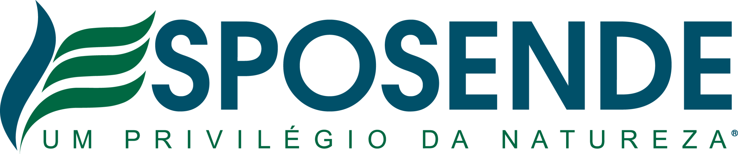 Visite Esposende